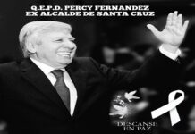 ¿Quién fue Percy Fernández Áñez?